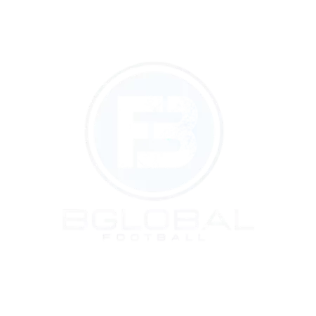 bbglobal480